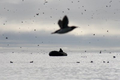 Spitzbergen: 2011-07-13 09-58-13