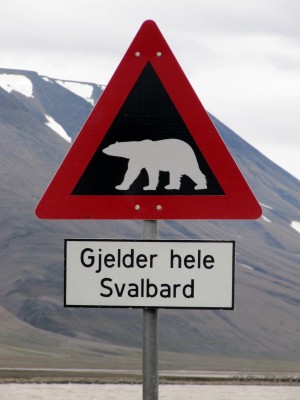 Spitzbergen: 2011-07-21 11-01-21